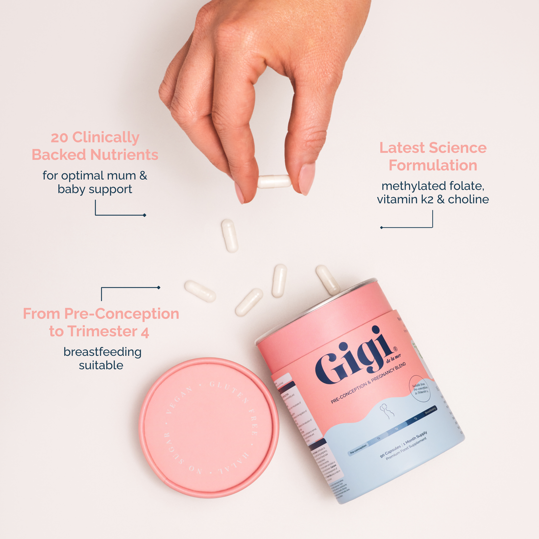 Pre-Conception & Pregnancy Blend